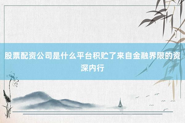 股票配资公司是什么平台积贮了来自金融界限的资深内行