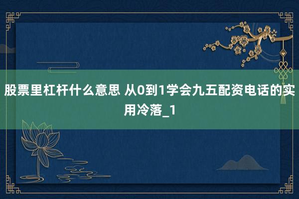 股票里杠杆什么意思 从0到1学会九五配资电话的实用冷落_1