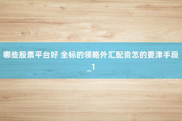 哪些股票平台好 全标的领略外汇配资怎的要津手段_1